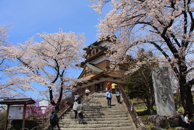 桜２０１９「高島公園」
