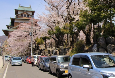 桜２０１９「高島公園」