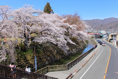 桜２０１９「高島公園」
