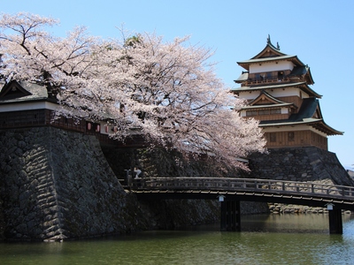 桜２０１９「高島公園」