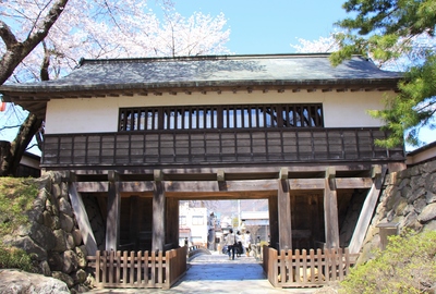 桜２０１９「高島公園」
