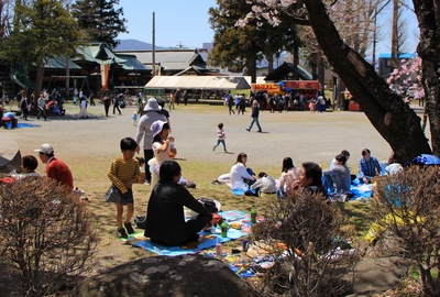 桜２０１９「高島公園」