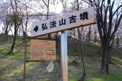 桜２０１９年「弘法山古墳」
