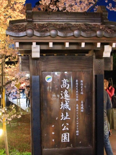 桜２０１９年「高遠城址　夜桜」