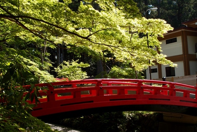 ＧＷ小国神社