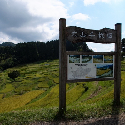 青空の大山千枚田