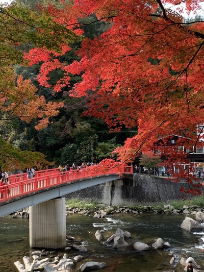 紅葉『香嵐渓』
