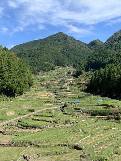 四谷の千枚棚田