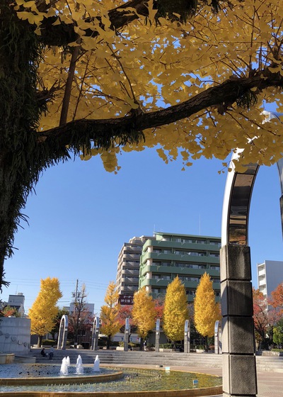 紅葉《常盤公園》