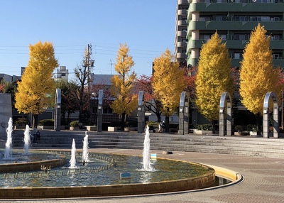 紅葉《常盤公園》