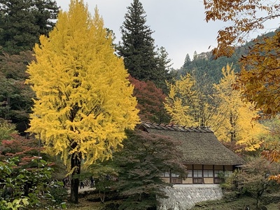 紅葉『香嵐渓』
