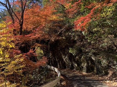 横谷峡『四つの滝』