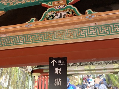 今日は日光東照宮へ。