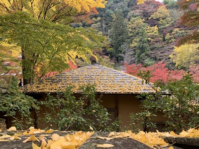 紅葉『香嵐渓』