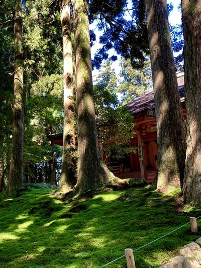 延暦寺《西塔（さいとう）》