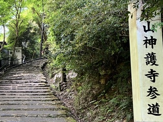 新緑眩しい京都散策