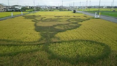 白脇田んぼアート