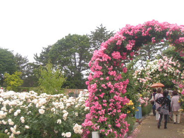 花博にて