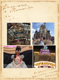 ディズニー今回の目的は…