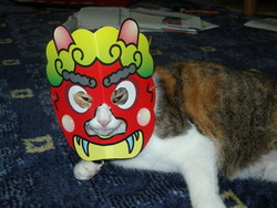 猫のまめまき
