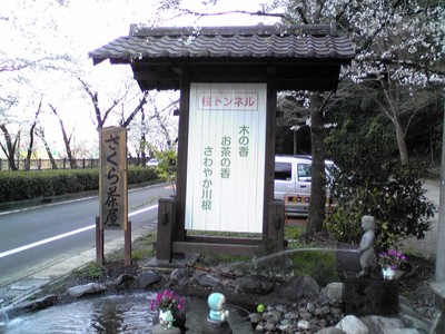 家山桜トンネル