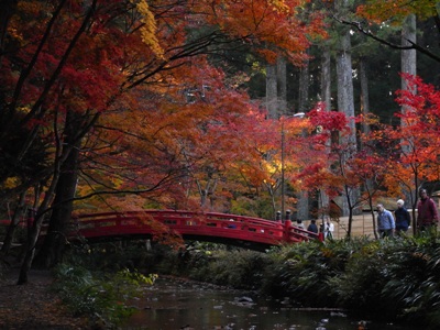 小国神社が一番。