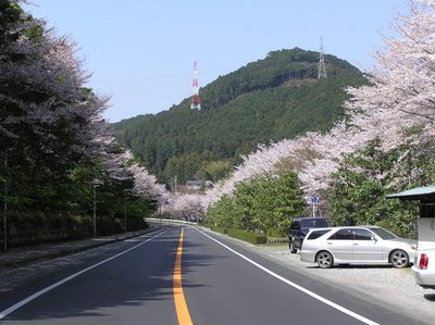 桜と船明ダム