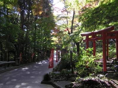 油山寺の紅葉