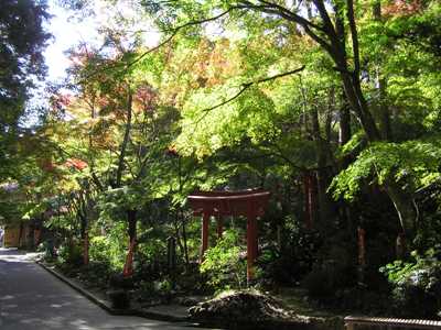 油山寺の紅葉