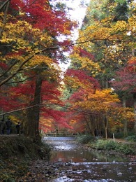 小国神社が一番。