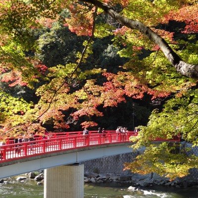 香嵐渓の紅葉