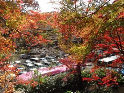 愛知県民の森