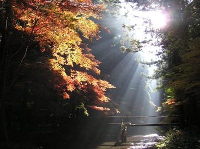 もう一つの小国神社。