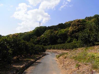 旧姫街道④