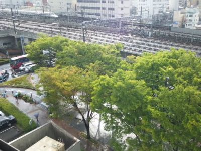 雨の日だから？