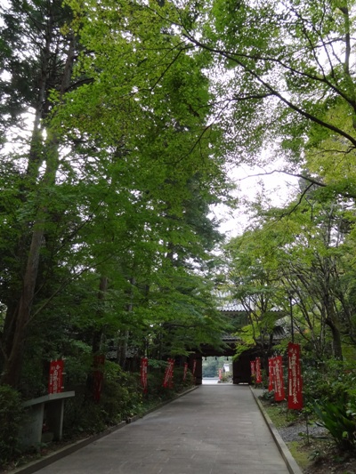 緑の油山寺