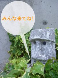 建築途中の家を見に行こう！