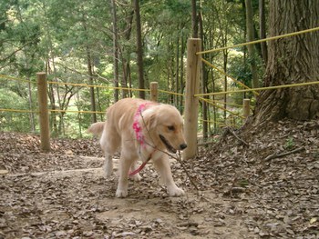 里山公園