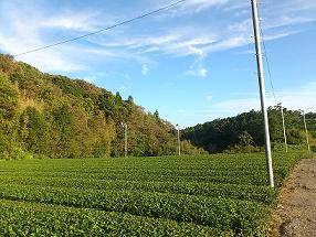 ◆山登りして来ました◆