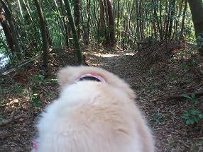 ◆山登りして来ました◆