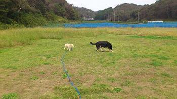 ★サムソン君とお友達になりました★