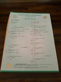 ★血統書★