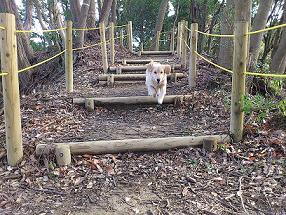 ◆里山公園◆