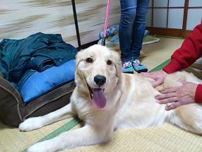 ★あけましておめでとうございます★