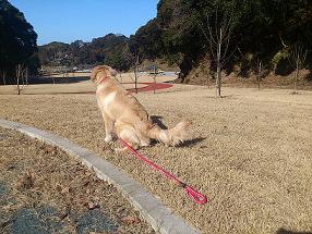 久び里山公園