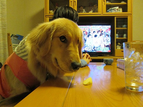 食いしん坊