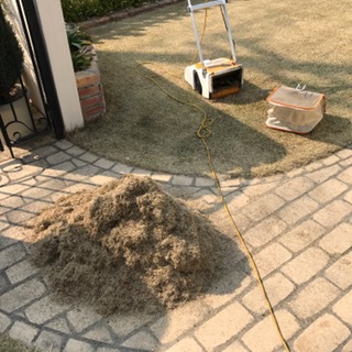 芝メンテ②