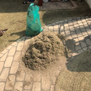 芝メンテ②