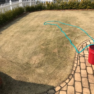 芝メンテ②