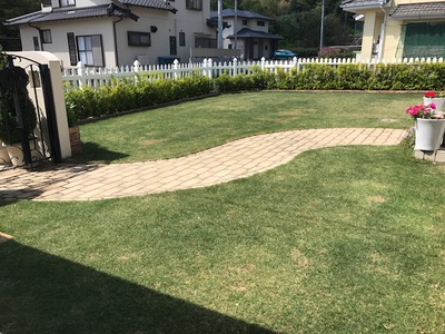 芝メンテ④